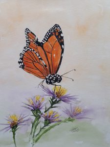 Monarch 28×38 cm aquarel