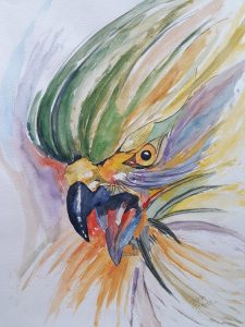 papagaai 28 X 38 cm aquarel