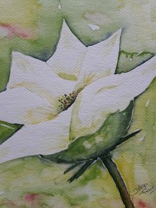 Witte bloem in groen 13x18 cm Aquarel