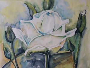 Witte roos met blauwe schaduw 28x38 cm Aquarel